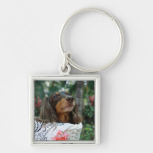 Close-up of a Dachshund dog sitting in a basket Key Ring