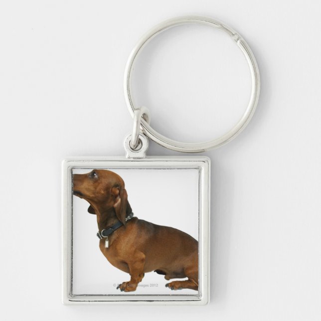 Close up of a dachshund key ring (Front)