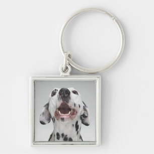 Close up of a Dalmatian dog Key Ring