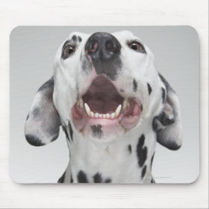 Close up of a Dalmatian dog Mouse Mat