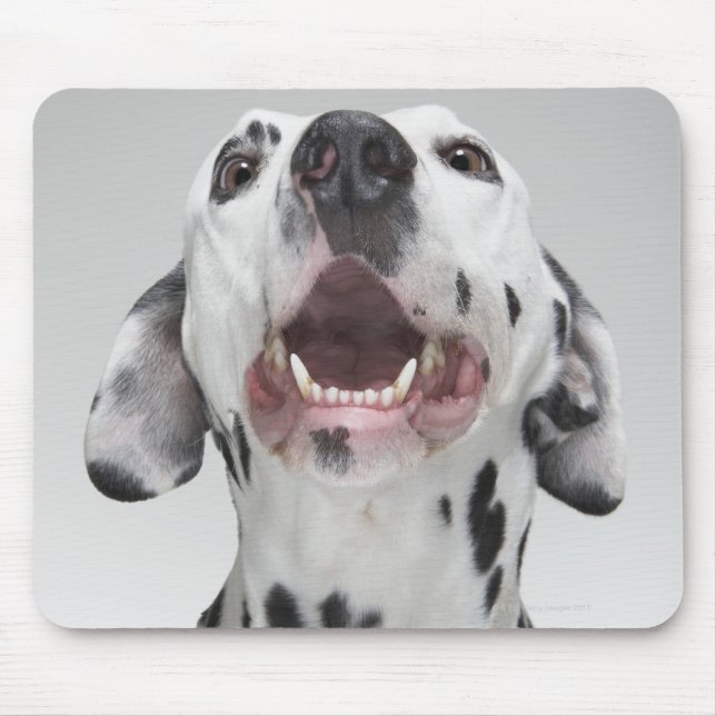 Close up of a Dalmatian dog Mouse Mat (Front)