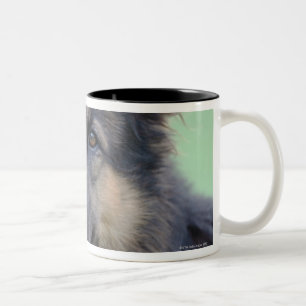 close-up of a dog face Two-Tone coffee mug
