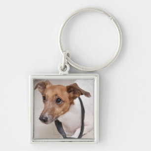Close-up of a dog putting on a tie key ring