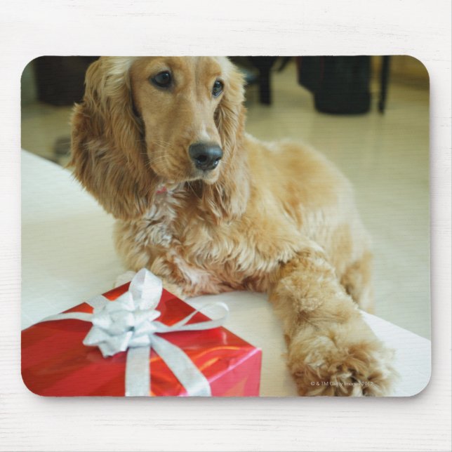 Close-up of a dog with a gift mouse mat (Front)