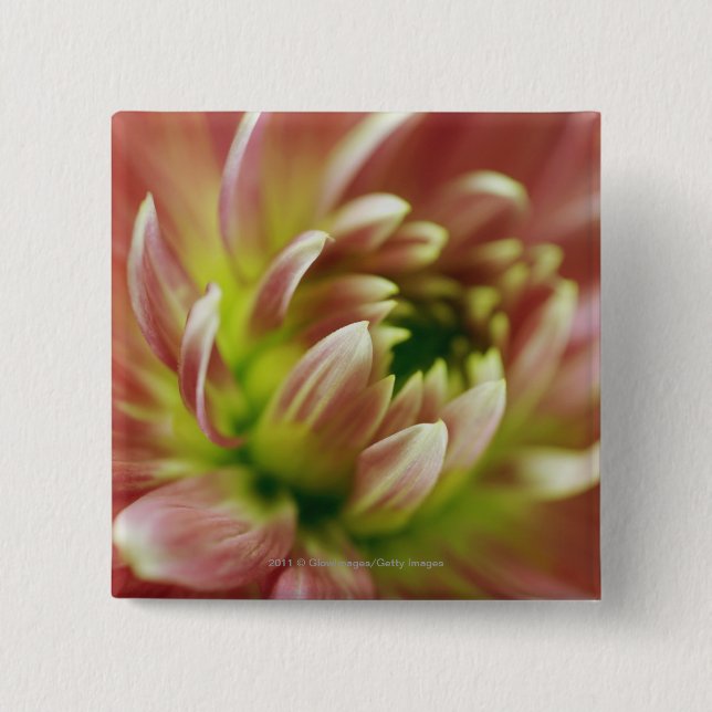 Close-up of a flower 15 cm square badge (Front)