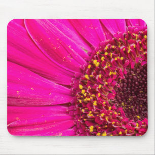 Close-up of a Gerber daisy Mouse Mat