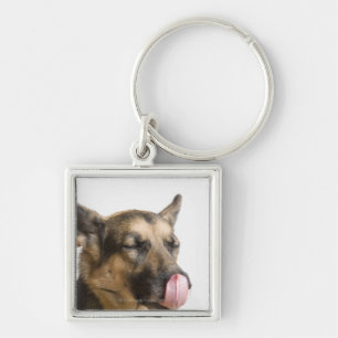 Close-up of a German Shepherd licking its nose Key Ring