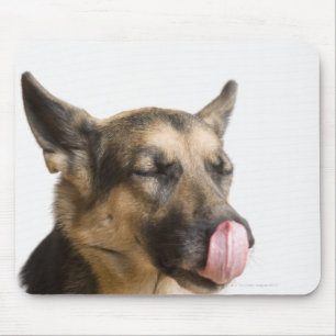 Close-up of a German Shepherd licking its nose Mouse Mat