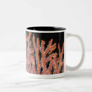 Close-up of a Gorgonian Sea Fan (Subergorgia) Two-Tone Coffee Mug