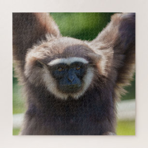 Close-Up of a Hanging Gibbon Jigsaw Puzzle