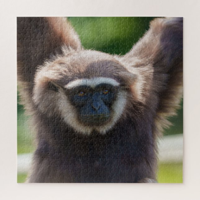 Close-Up of a Hanging Gibbon Jigsaw Puzzle (Vertical)