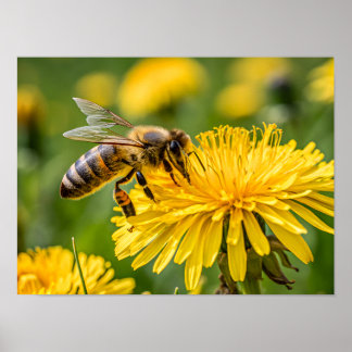 Close Up of a Honeybee Collecting Nectar Poster