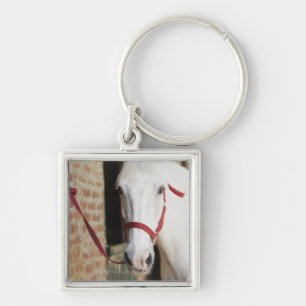 Close-up of a horse 2 key ring