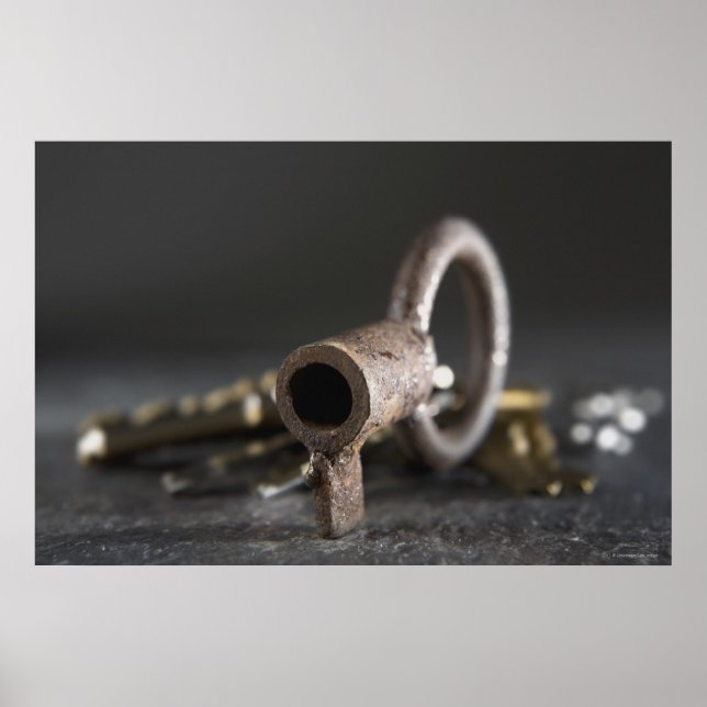 Close-up of a key in a key ring poster (Front)