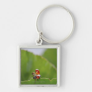 Close-up of a ladybug on a leaf key ring
