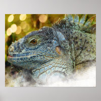 Close Up of a Large Scalygreen Iguana Lizard