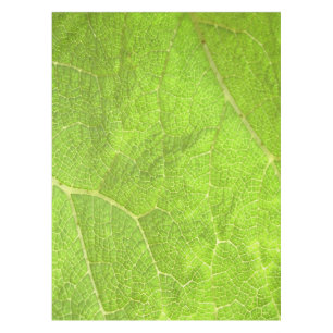 Close up of a leaf tablecloth