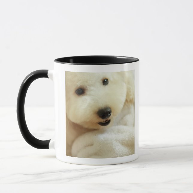 Close-up of a miniature poodle 2 mug (Left)
