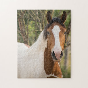 Close up of a Paint Horse Jigsaw Puzzle