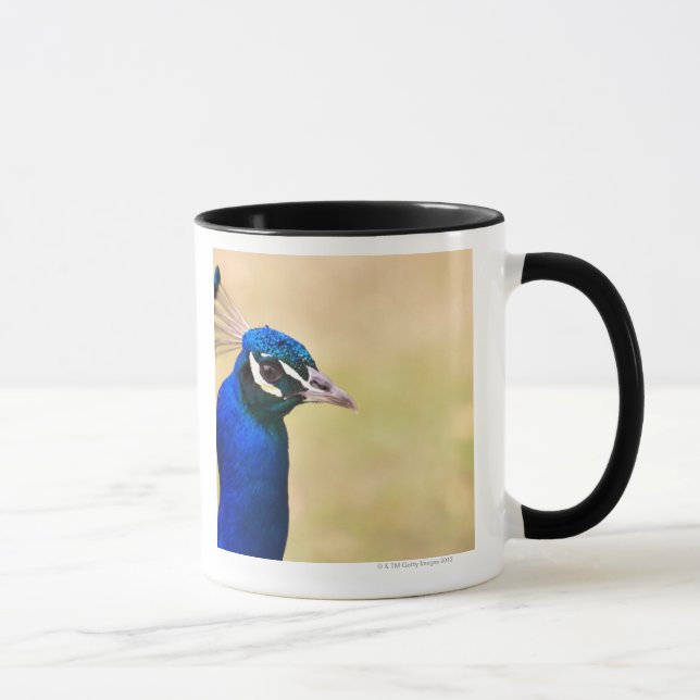 Close-up of a peacock 2 mug (Right)