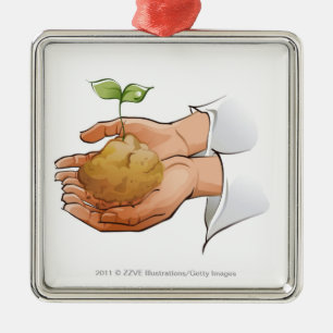 Close-up of a person's hands holding seedling metal tree decoration