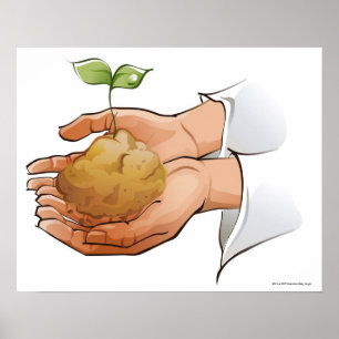 Close-up of a person's hands holding seedling poster