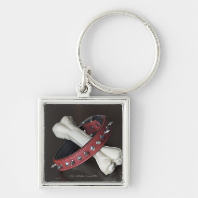 Close-up of a pet collar and a dog bone key ring (Front)