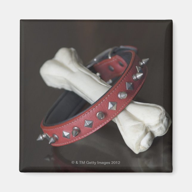 Close-up of a pet collar and a dog bone magnet (Front)