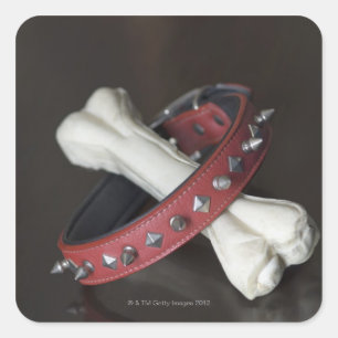 Close-up of a pet collar and a dog bone square sticker