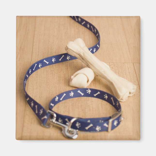 Close-up of a pet collar and a leash with dog magnet (Front)