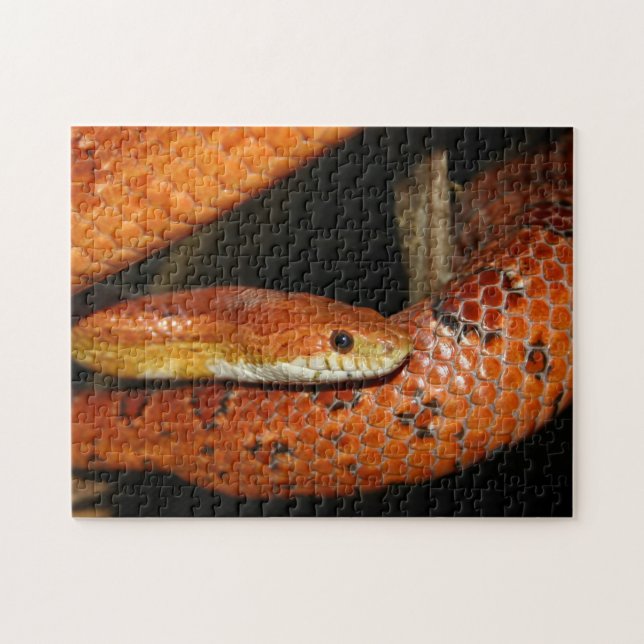 Close up of a Pet Corn Snake Jigsaw Puzzle (Horizontal)