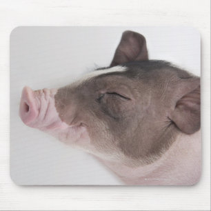 Close-up of a piglet's head, smiling mouse mat