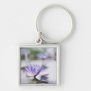 Close-Up of a Purple Water-Lily Floating on Key Ring