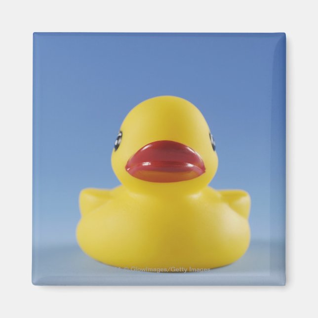 Close-up of a rubber duck magnet (Front)