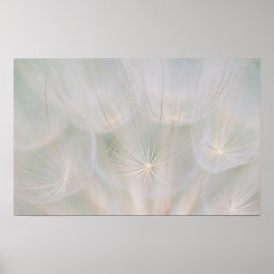 Close up of a seed head, Canada Poster