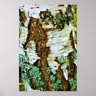 Close up of a tree Poster