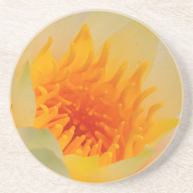 Close-Up Of A Water Lily Coaster (Front)