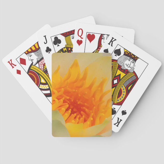 Close-Up Of A Water Lily Playing Cards (Back)