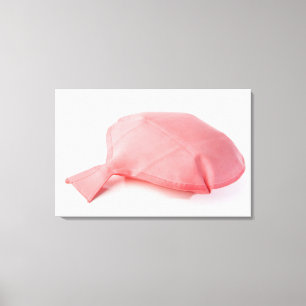 Close-up of a whoopee cushion canvas print