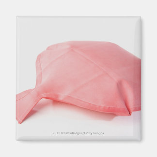 Close-up of a whoopee cushion magnet