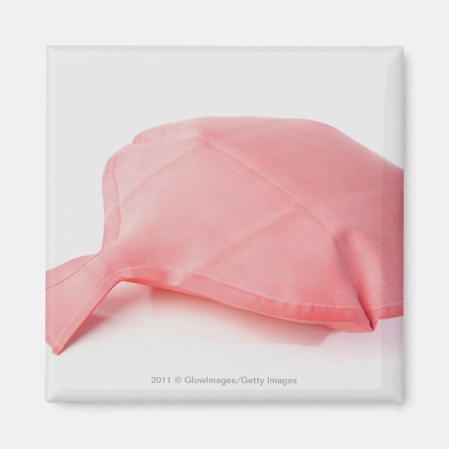 Close-up of a whoopee cushion magnet (Front)