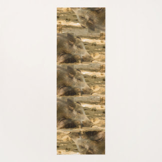 close-up of a wild boar on yoga mat