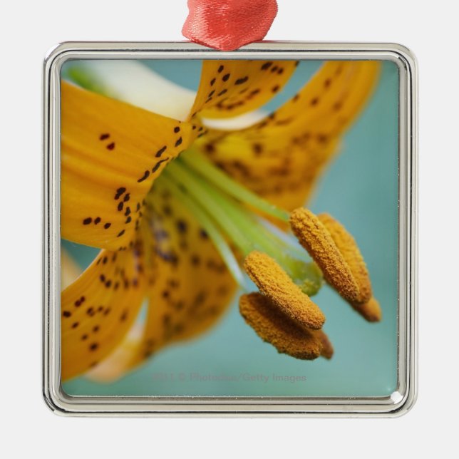 Close Up of a Yellow Lily Metal Tree Decoration (Front)
