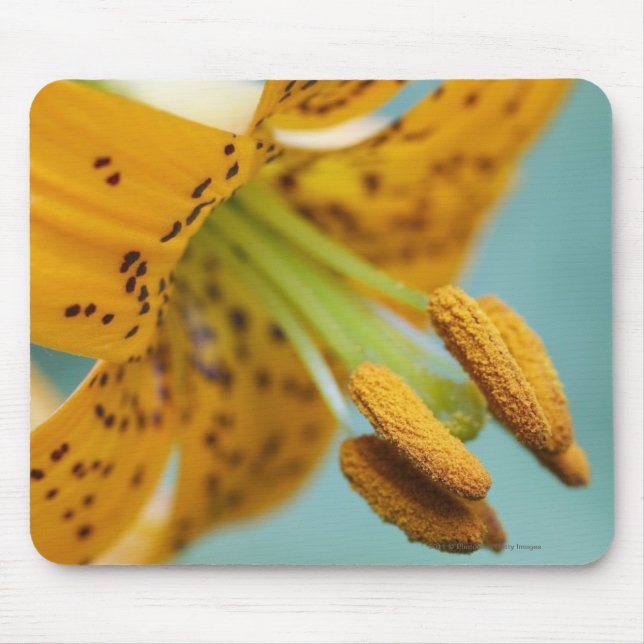 Close Up of a Yellow Lily Mouse Mat (Front)