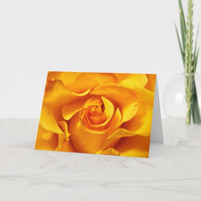 Close Up of a Yellow Rose Card (Front)