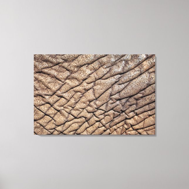 Close-Up Of African Elephant's Hide Canvas Print (Front)
