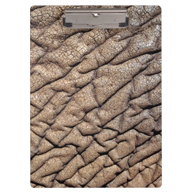 Close-Up Of African Elephant's Hide Clipboard (Front)