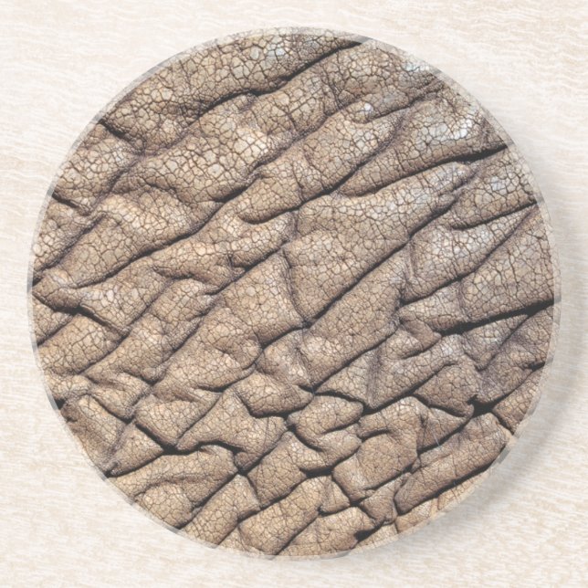 Close-Up Of African Elephant's Hide Coaster (Front)