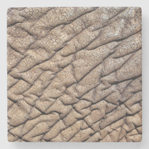 Close-Up Of African Elephant's Hide Stone Coaster