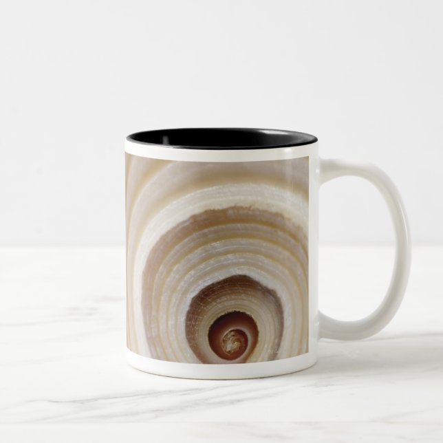 Close-up of an animal shell Two-Tone coffee mug (Right)